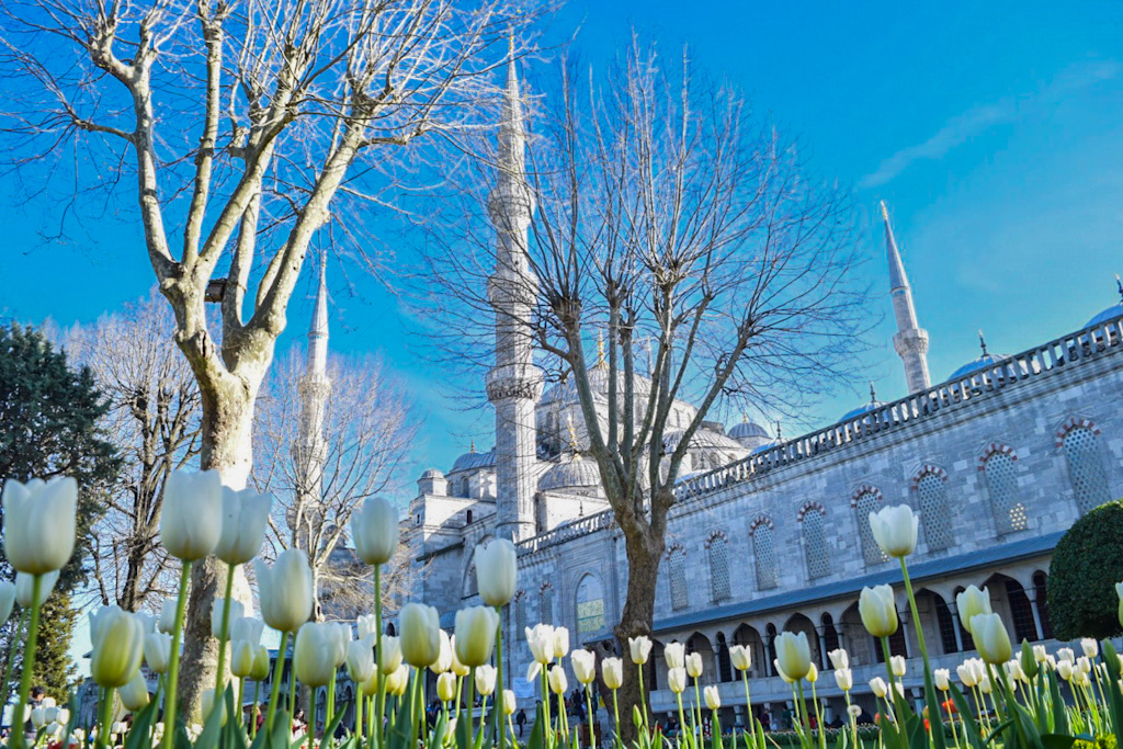 Tulip Festival in the Blue Mosque, one of the magical places to visit in Turkey