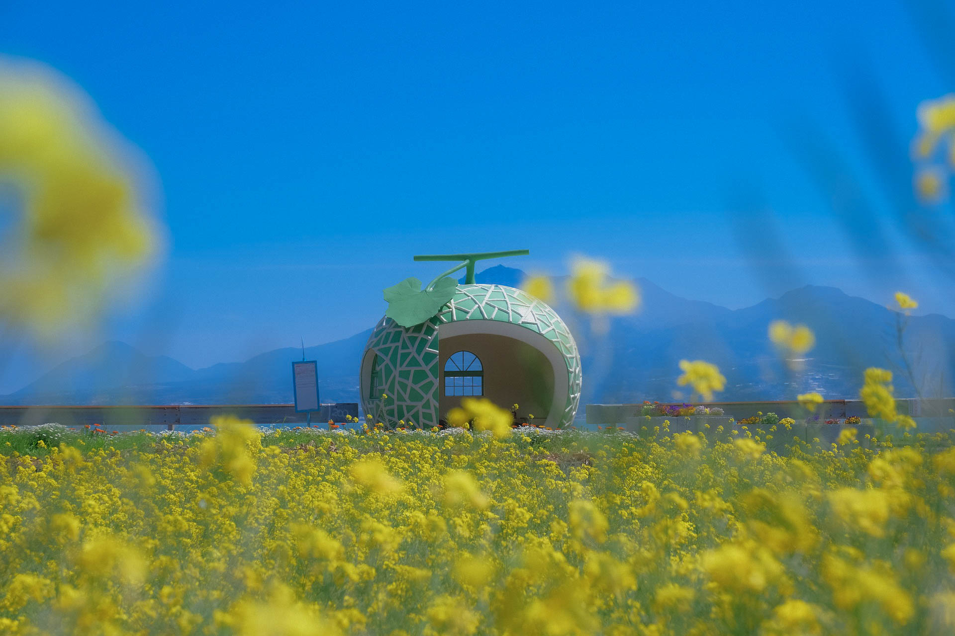 nagasaki fruit-themed bus stop